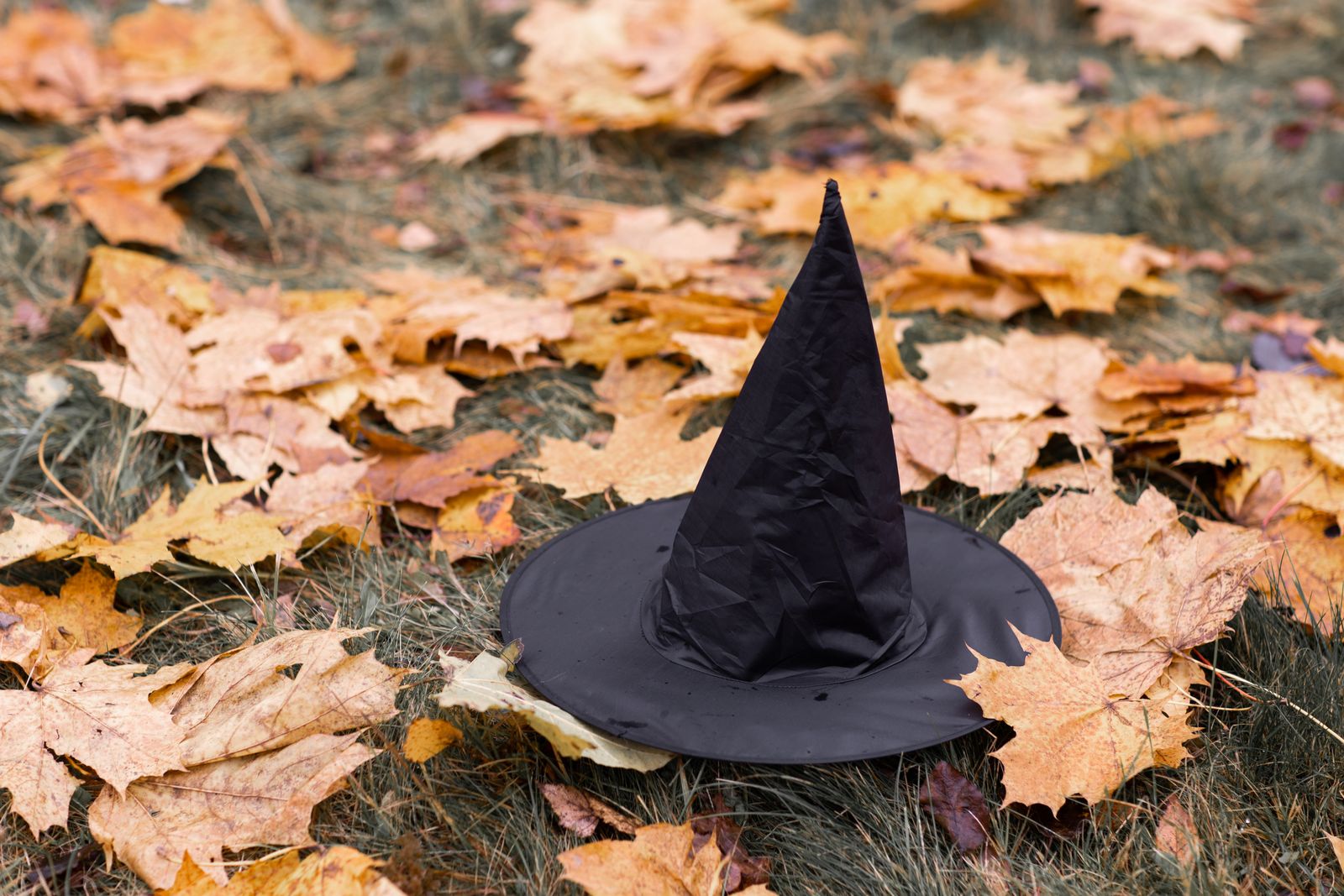 Four Lots, $69.96, One Deadline: My Halloween Cart, Written Up Like an Auction Catalogue